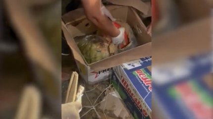 Наркотиков на 2,5 млн тенге изъяли у кыргызского «арбузника» в Павлодарской области