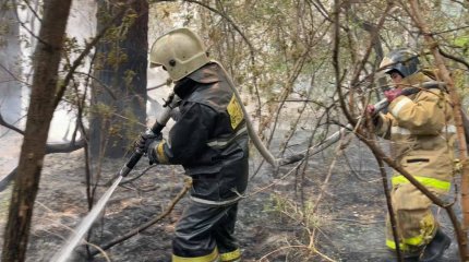 Работников лесных пожарных станций оснастят противопожарной одеждой