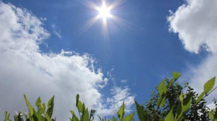 Қазақстанда тамыз айының басында ауа райы қандай болады