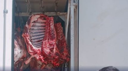 14 тонн мяса пытались незаконно вывезти из Казахстана в Узбекистан