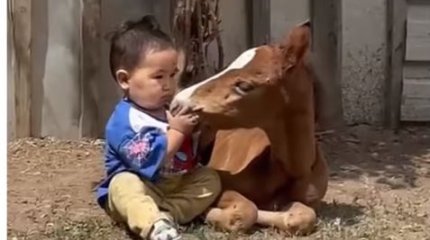 Дружба малыша и жеребенка растрогала казнет