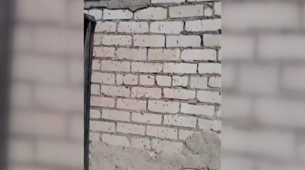 Солтүстік Қазақстанның Қызылжар ауданында қырықбуын қаптады