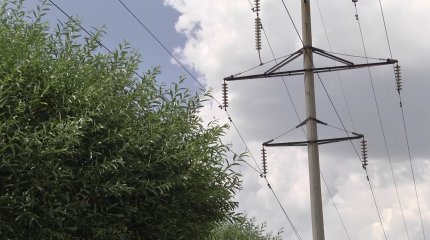 Трех рабочих ударило током во время обрезки деревьев в Павлодаре