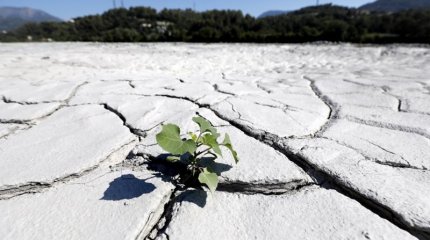 3 июля стал самым жарким днем на планете