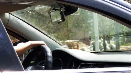 Алматыда таксист шетелдікті ірі соммаға алдамақ болған