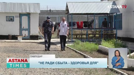 Два года тюрьмы получил житель ВКО за выращивание конопли на дачном участке