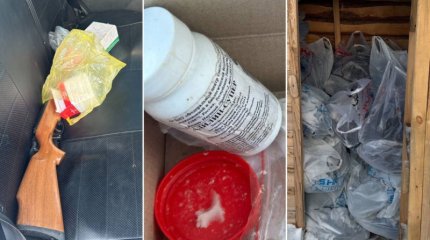 Ақмола облысында қаңғыбас иттердің етін сатқан ер адамға қатысты сот үкімі шықты