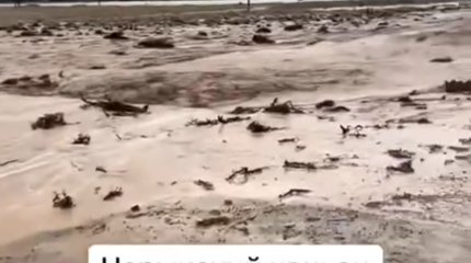 Грязевой поток перекрыл трассу в Алматинской области