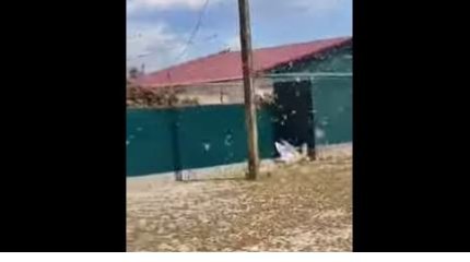 Видео нашествия саранчи напугало жителей Атырауской области