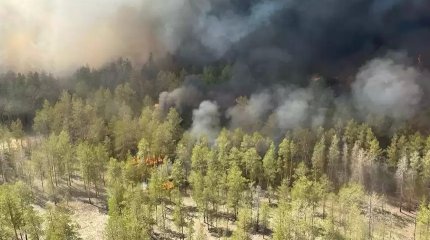 Өрт сөндірушілер «Ертіс орманы» резерватында орын алған тағы бір өртті сөндіруде