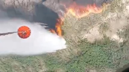 До 40 гектаров удалось снизить площадь горения камыша под Атырау