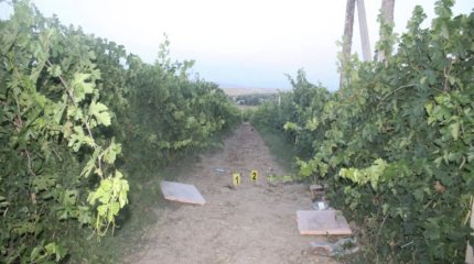 Подростка застрелили во время отстрела птиц в Туркестанской области