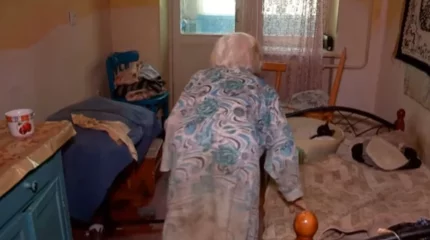 Шымкентте 95 жастағы кейуана мысықтың өлексесі қалған, тарақан басқан пәтерде тұрып жатыр