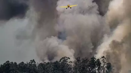 Гавайидегі өрт: тарихи қала өртеніп кетті, құрбандар бар