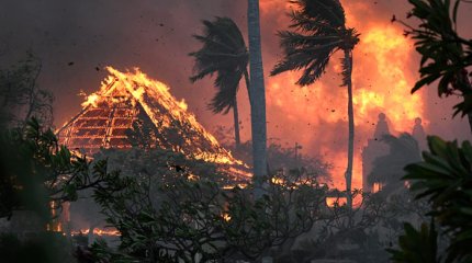 Пожары уничтожили исторический город на Гавайях: жители бегут в панике