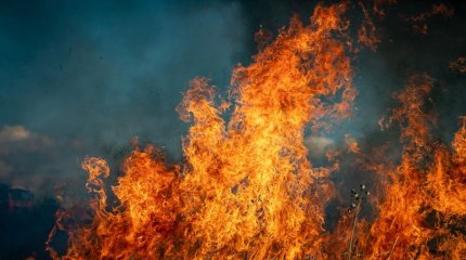 Гавайидегі орман өртінен қаза тапқандар саны 53-ке жетті