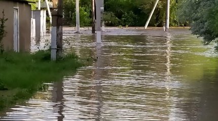 Жетісу облысында бір ауылдың төрт көшесін су басып қалды