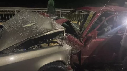 Кәмелетке толмаған жігіт айдаған: Жетісу облысында жол апатынан екі адам қаза тапты