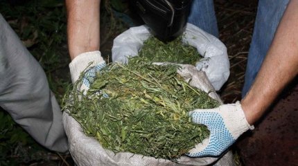 Жамбылдық полицейлер ауыл тұрғынынан 50 келіден астам есірткі тәркіледі