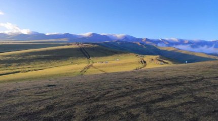 Семья грибников потерялась в Алматинской области