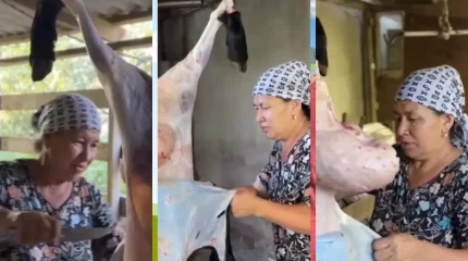 "Жаман көрінеді екен". Қой сойған әйел желіні тәнті етті