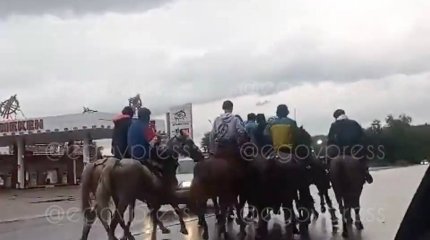 За игру в кокпар накажут жителей Алматинской области