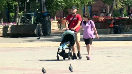 Қызылжарда алимент төлеуден жалтарғандар бас бостандығынан айырылды