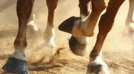 Шымкентте жылқы тепкен 9 жасар балаға бірнеше ота жасалды