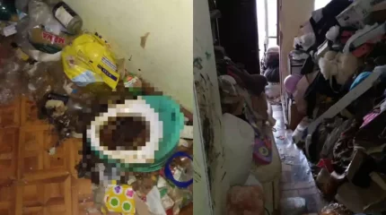 Алматыда табылған "Маугли" балалардың анасы ата-ана құқығынан айырылады