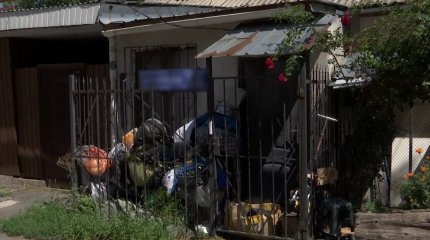 "Из квартиры давно был ужасный запах": соседи рассказали подробности о жизни детей-"маугли"