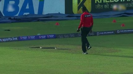 Змея прервала матч Премьер-лиги по крикету в Шри-Ланке