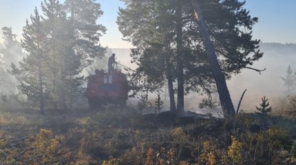 Очередной лесной пожар вспыхнул в ВКО