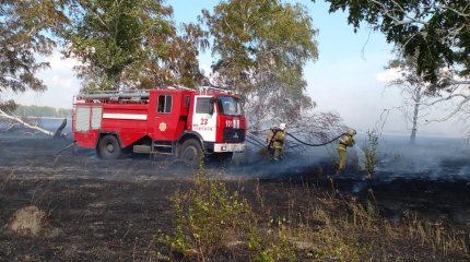 Степной пожар едва не уничтожил посевы зерновых в Костанайской области