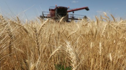 Солтүстік Қазақстанда егін орағы басталды