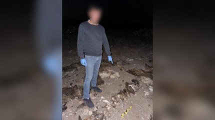 Ақмола полицейлері 7 млн теңгенің малын ұрлаған күдіктілерді ұстады