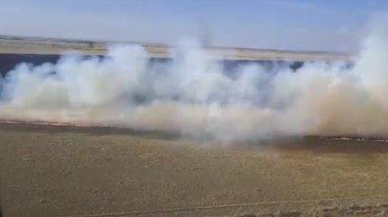 Заповедник горит в Костанайской области