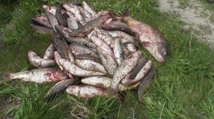 Ловил на «ракету»: за незаконную рыбалку осудили жителя ВКО