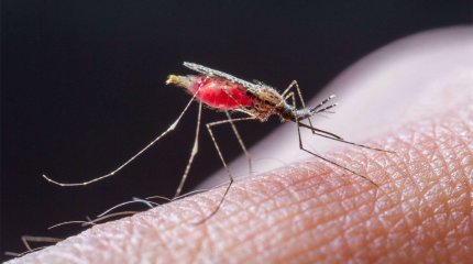 Африкада безгек ауруына шалдыққан маңғыстаулық азамат елге оралғаннан кейін көз жұмды