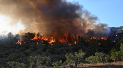 Грекияда өртеніп жатқан орманнан 26 мигранттың денесі табылды