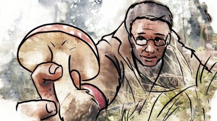 Пенсионер наелся мухоморов до потери сознания в Костанайской области