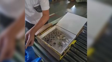 Муравьиную контрабанду из Италии пресекли в аэропорту Алматы