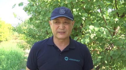 Собирать урожай некому, - фермеры Мангистауской области