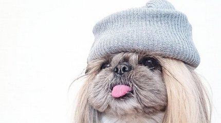 Грозы и похолодание до +7 градусов обещают синоптики к концу недели