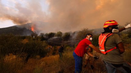 Грекияда ормандарға өрт қойып жүрген 5 адам қамауға алынды