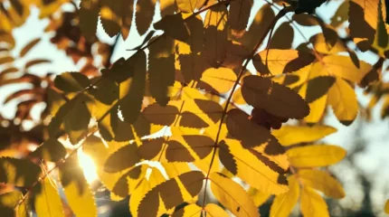 Демалыста ауа райы қандай болады?