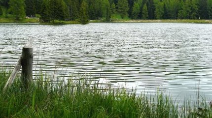 Ертіс өзеніне әйел адам екі баласымен бірге батып кетті
