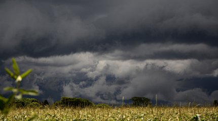 Шквал и неустойчивую погоду обещают казахстанцам в воскресенье