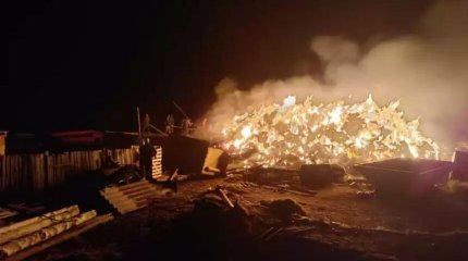 Батыс Қазақстан облысында 200 тоннаға жуық пішен отқа оранды