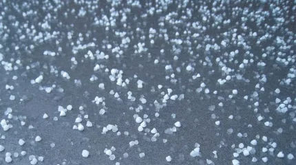 Шымкентте ірі бұршақ жауды