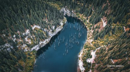 Казахстанский блогер показал невероятную красоту озера Каинды